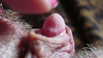 Intense Focus On My Large Clitoris Head Throbbing During Intense Masturbation Session